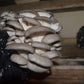 3lbs Fresh Oyster Mushroom