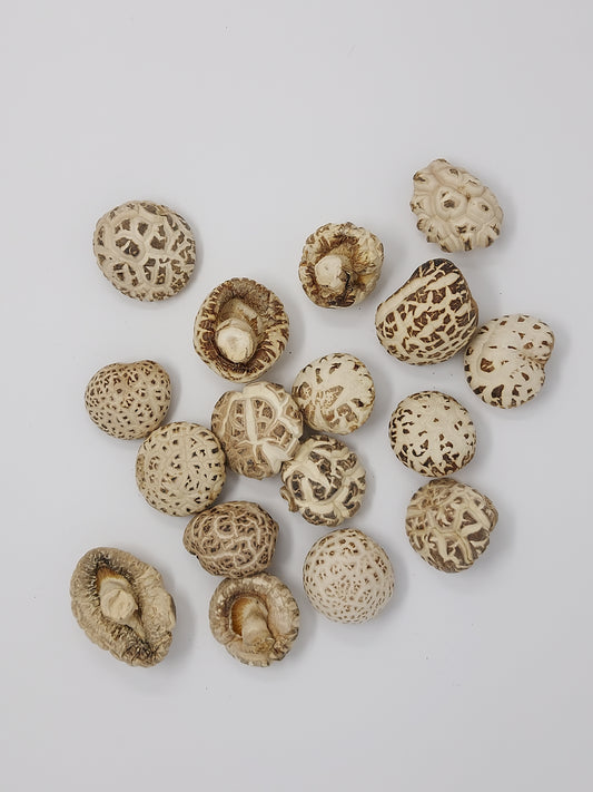 Dried Hwago Shiitake Mushrooms
