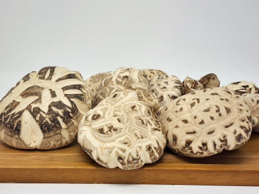 Dried Hwago Shiitake Mushrooms